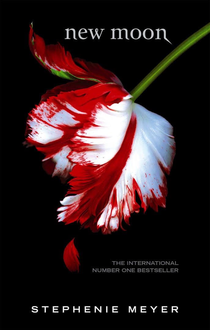 image for this pizza